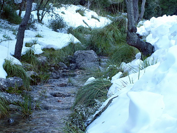 RIACHUELO POR LA NIEVE FUNDIÉNDOSE