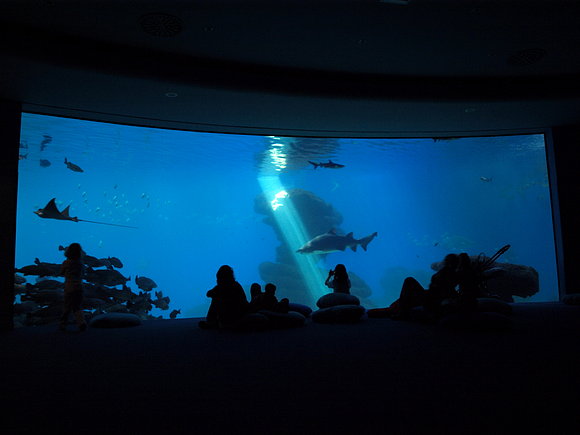 PALMA AQUARIUM