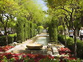 EL HUERTO DEL REY