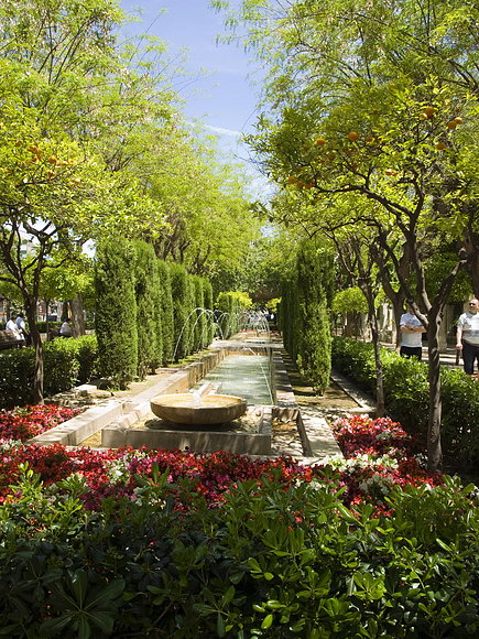 EL HUERTO DEL REY