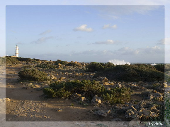 DÍA DE VIENTO IX