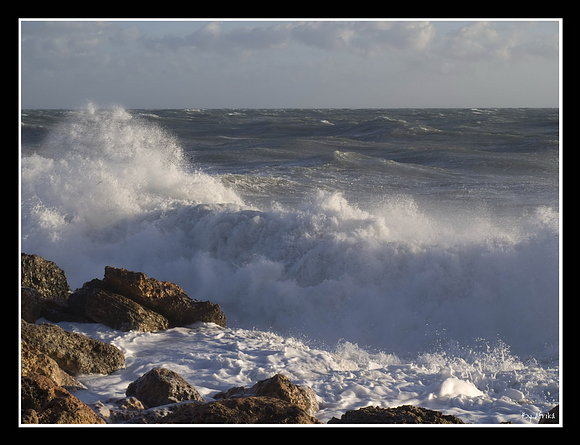 DÍA DE VIENTO XII