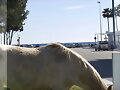 Sa Coma - Mallorca