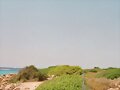 CABO SALINES - SES SALINES (MALLORCA)