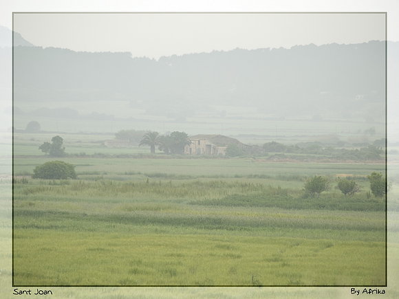Bruma matinal
