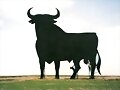 Toro Osborne Crta. Salamanca