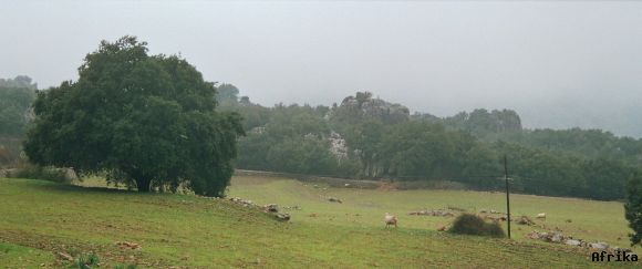 LLUC - MALLORCA