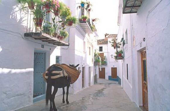 calle tipica de quesada