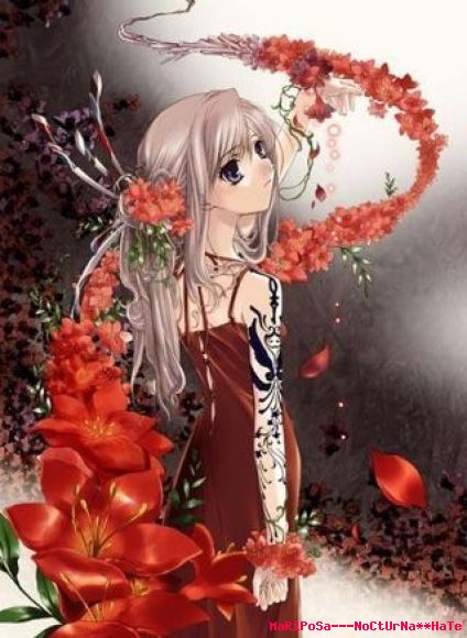 Kawai !!!