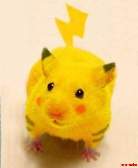 cosplay de la ratita kuki xD