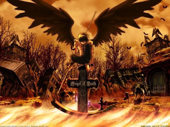 Angel ^^