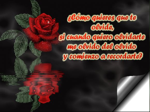 EL amor por ti..