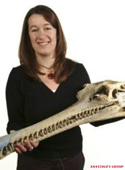 Inusual Dinosaurio Con Cabeza de Cocodrilo