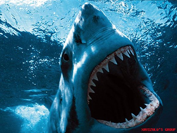 TIBURONES