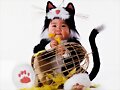 MIAOOOOOOOO