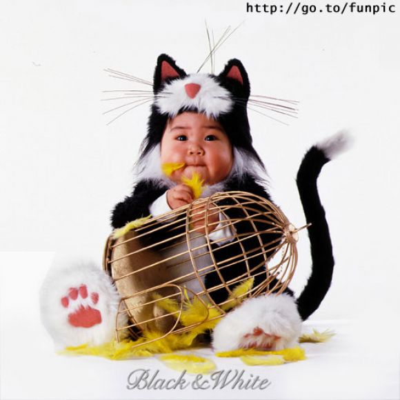 MIAOOOOOOOO