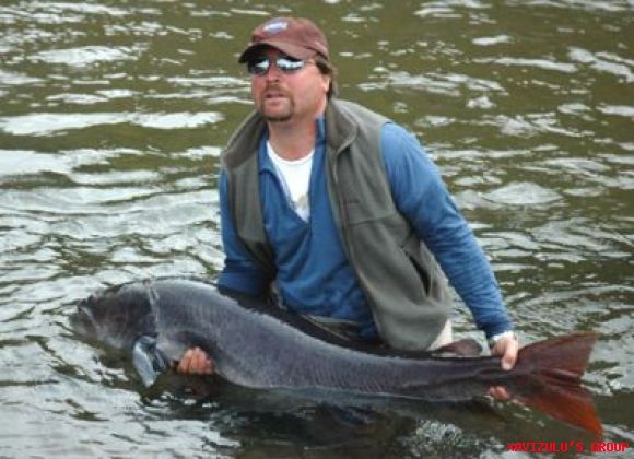PECES GIGANTESCOS