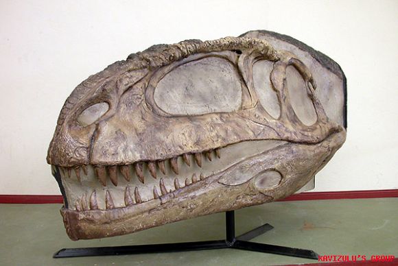 Mapusaurus roseae: Dinosaurio más temible del mund