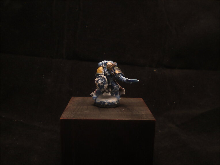 lobo