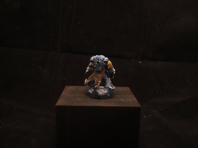 lobo