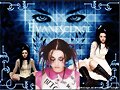 AMY LYNN LEE