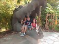 los tres en el cocodrilo