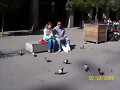 con las palomas