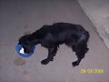 chico comiendo