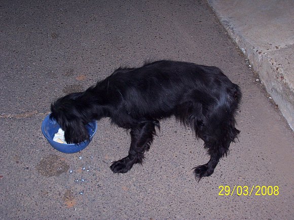 chico comiendo