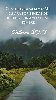 Salmo del Rey David