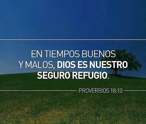 La Realidad.