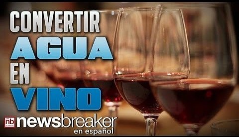Nuevos Comienzos.