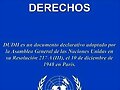 Derechos Humanos.