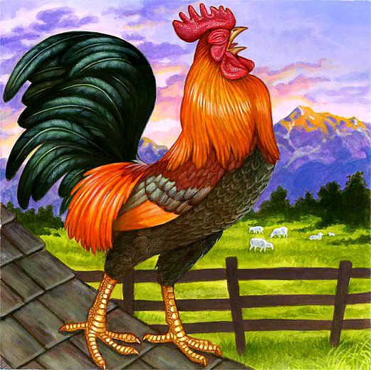 El Canto del Gallo.