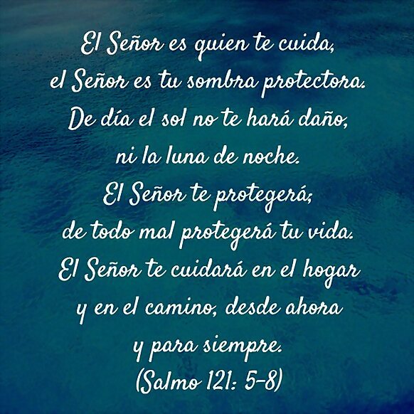 Heridos En El Camino.
