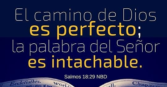 Todo Esta En Control.