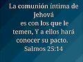 El Curso de la Vida.
