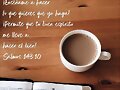 La Vida En Su Esencia.