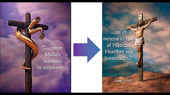 Naturaleza y Espíritu.