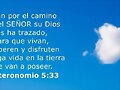 Direcci&oacute;n y vida