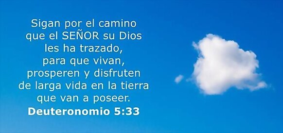 Dirección y vida
