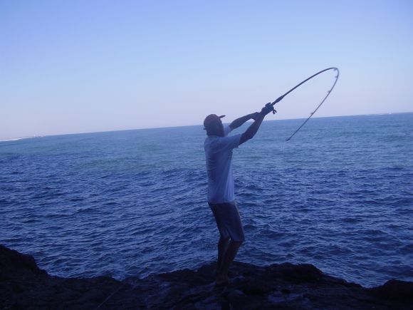 Pesca de Papa Terra - Menthicirrus americanus