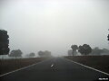 Niebla
