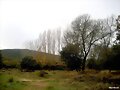 Paisaje