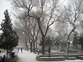 Bajo la nieve