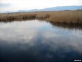 Tierra y cielo