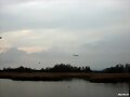 Emprendiendo el vuelo