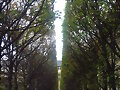 El paseo