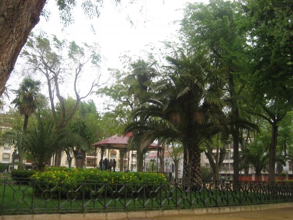 Tarde de lluvia