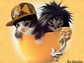 gatitos tom and bill